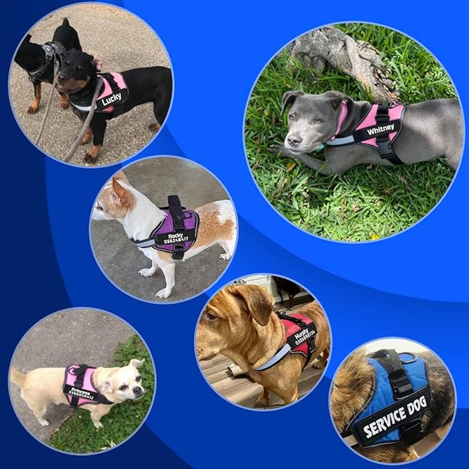 MUMUPET Custom Dog Harness Vest with 2 Personalized Name & Phone Patches, No Pull Reflective Adjustable with Handle, Soft Breathable Padding for Medium Dogs (Black, M)