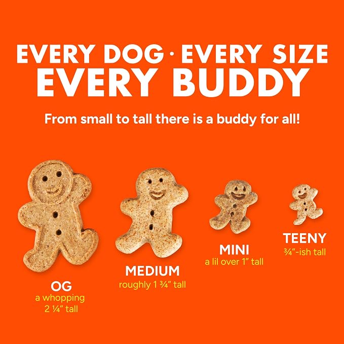 Buddy Biscuits Grain Free Crunchy Treats with Roasted Chicken - 14 oz.