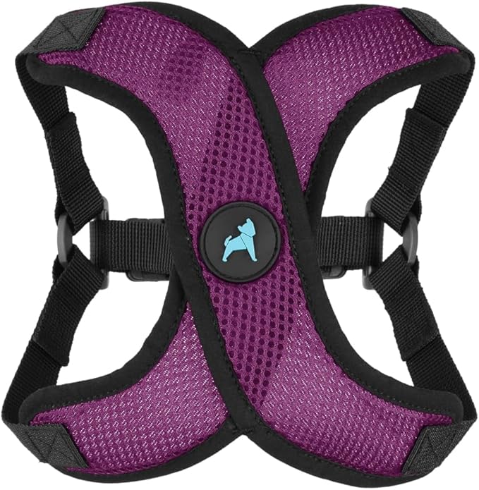 Gooby Comfort X Step in Lite Dog Harness - Choke Free, Escape Free with Light Breathable Mesh - Step in Dog Harness for Small Dogs Only - Quick Release Buckle, Metal D-Rings - Purple, X-Large
