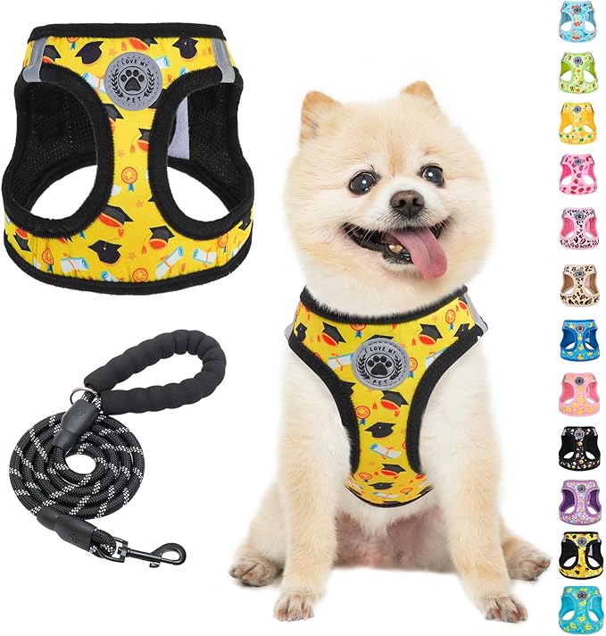 BEAUTYZOO Graduation Dog Harness for Small Medium Dogs - Soft Padded Step-in Reflective Puppy Vest with Leash Set, Adjustable No Pull Dog Harnesses, Grad Party Photo Props Gift for Boy & Girl Pets