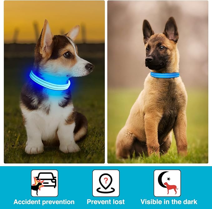 Light Up Dog Collar, Rechargeable USB Collar, Waterproof, Luminous LED Collar, Adjustable, Super Bright, Night Walking for Small Medium Large Dogs, Blue, S