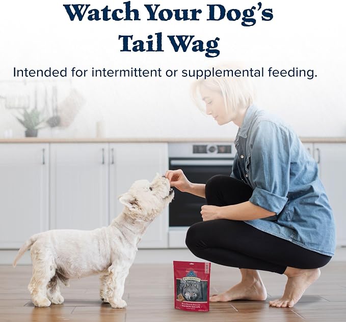 Blue Buffalo Wilderness Trail Treats Salmon Crunchy Dog Biscuits, Grain-Free & High-Protein, Bite-Sized Training Treats Made with Real Salmon & Natural Ingredients, 24-oz Bag