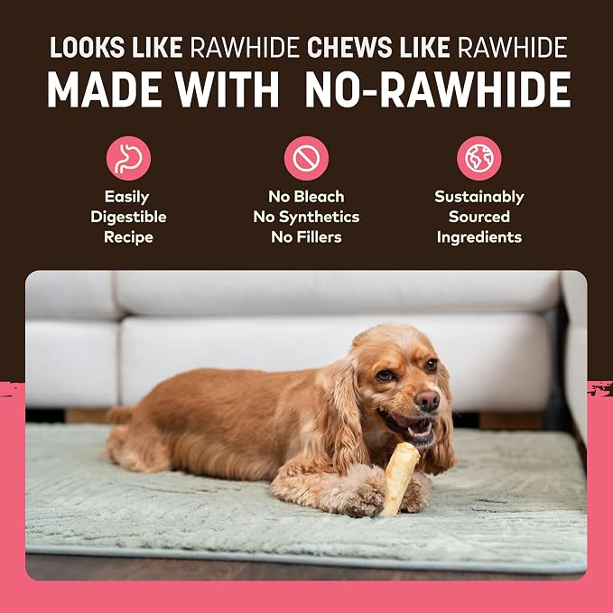 Earth Animal No Hide Chews - Long Lasting Rawhide Free Small Dog Chews Rolls, Salmon - 2 Count