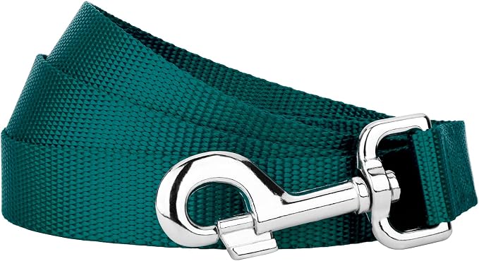 Country Brook Petz - Everyday Nylon Dog Leash - Strong, Durable, Solid Color Leash with Easy to Use Snap - 25+ Colors (1 Inch Wide, 4 Foot, Teal)