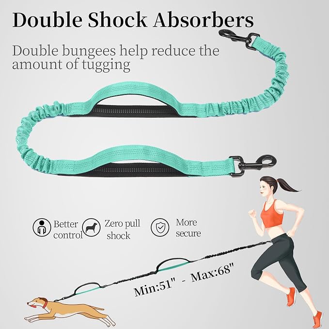 iYoShop Hands Free Dog Leash with Zipper Pouch, Dual Padded Handles and Durable Bungee for Walking, Jogging and Running Your Dog (Large, 25-120 lbs, Teal)