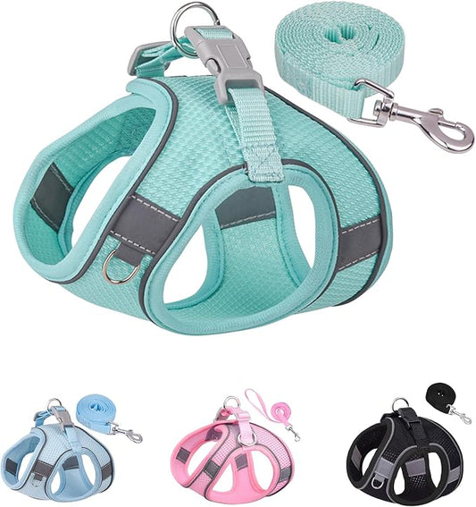 Solmoony Dog Harness for Small Medium Large Dogs No Pull, Puppy Harness and Leash Set, Puppy Harness, Step in Harness for Small Dogs,mesh Dog Harness. (Green, XXS)