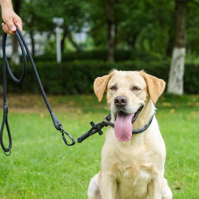 Rope Dog Leash, 6 Foot Heavy Duty Dog Leash with Aviation Aluminum Auto Locking Carabiner, Strong Nylon Pet Lead for Small, Medium, Large Dogs (Navy Blue, 6FT)