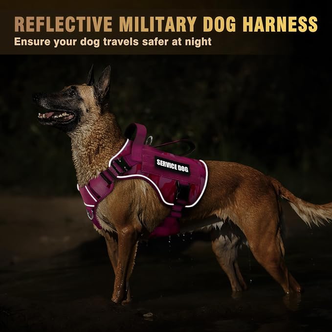 WINSEE Tactical Dog Harness for Large Dog, Heavy Duty Service Dog MOLLE Vest with 10 Pet Patches, No Pull Military Working Vest for Training Hunting Walking