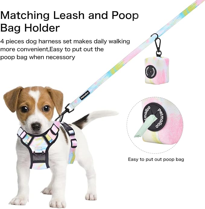 Petmolico No Pull Dog Harness Set with Leash Attachment Easy Control Handle Reflective Harness Vest Small Breed, Puppy Vest and Leash Set with Poop Bag Holder, Small - Iridescent