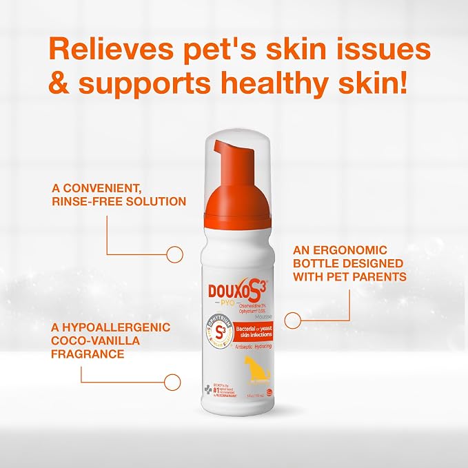 Douxo S3 PYO Medicated Dog Mousse; Bacterial & Yeast Infection Treatment for Dogs – Chlorhexidine Dog Waterless Shampoo, Antibacterial & Antiseptic, for Dogs Only, Clinically Proven, 5 fl oz