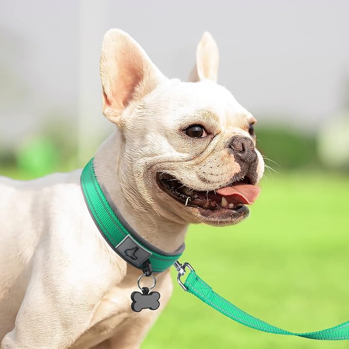 Joytale Dog Collar for Small Dogs, Neoprene Padded and Adjustable, Reflective Wide Heavy Duty Pet Collars with Durable Metal Belt Buckle for Walking, Teal, S