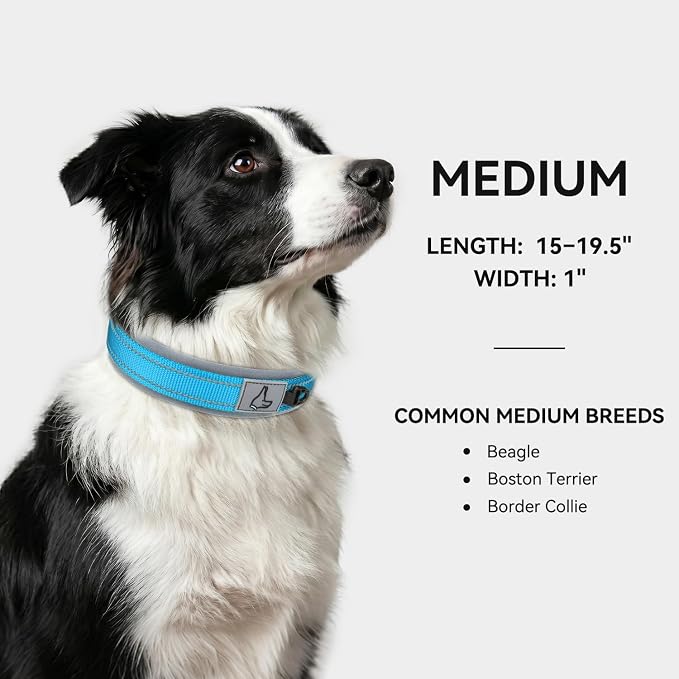 Joytale Dog Collar for Medium Dogs, Neoprene Padded and Adjustable, Reflective Wide Heavy Duty Pet Collars with Durable Metal Belt Buckle for Walking, Sky Blue, M