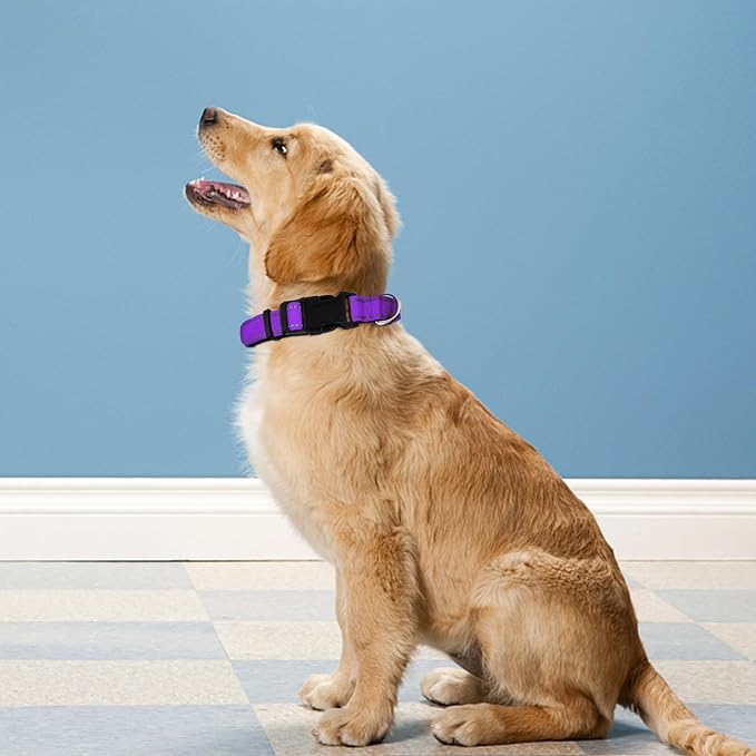 Reflective Dog Collar, Adjustable Soft Neoprene Padded Nylon Pet Collars with Buckle for Large Dogs,L, Purple
