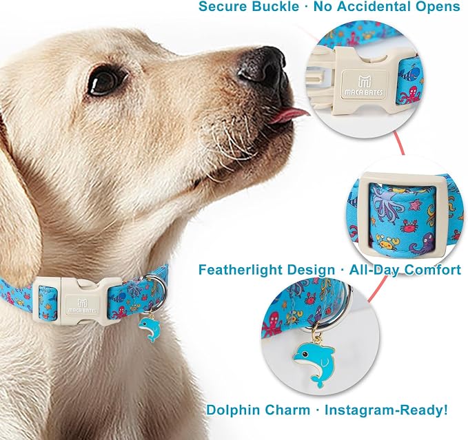 Maca Bates Summer Cute Sea World Dog Collar for Small Boy Girl with Dolphin Charm,Blue Nautical Fish Octopus Pattern,Adjustable Durable Soft Birthday Gift Collars for Male Female Puppy