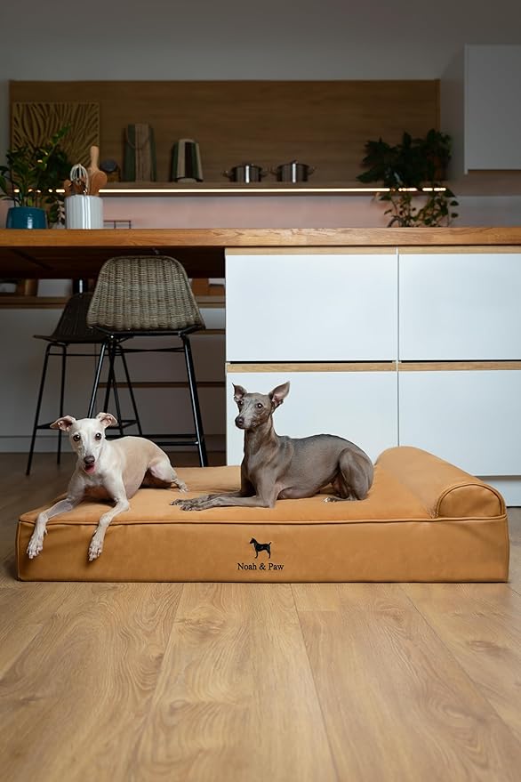 NOAH & PAW Large Dog Bed, 35x25x8.7 Inch, Orthopedic Dog Beds, Eggshell Memory Foam Infused with Cooling Gel, Water Resistant, Machine Washable, Includes Inner Cover (Faux Leather)