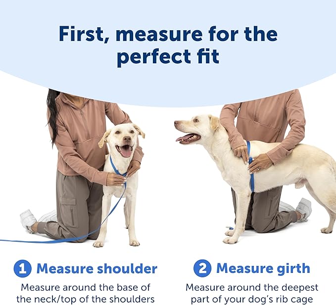 PetSafe Easy Walk Comfort No-Pull Dog Harness Full-Body Padding - Better Walks on the First Use - 5 Points of Adjustment Large, Black