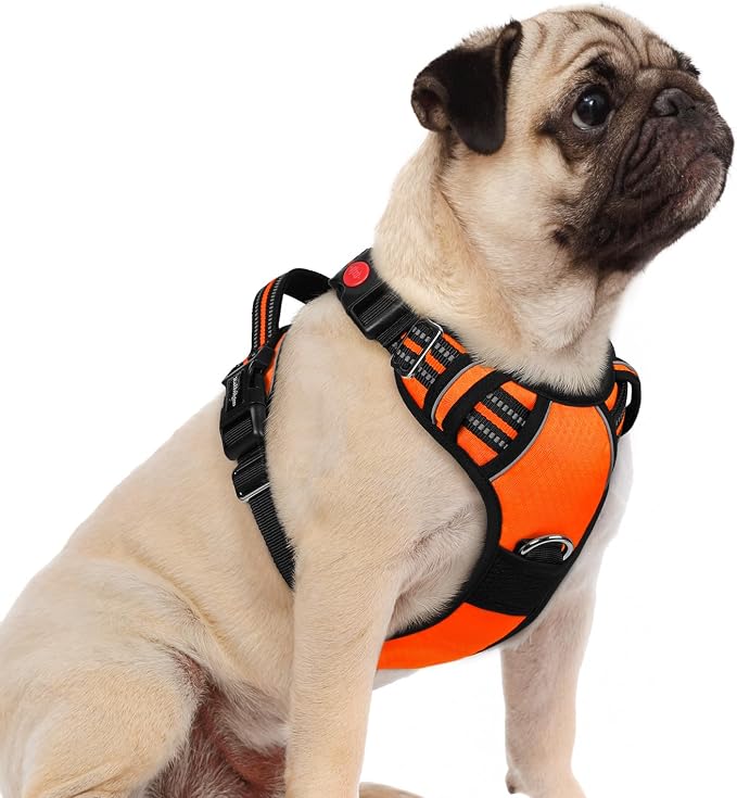 rabbitgoo Dog Harness Small Sized, 3 Buckles Easy On & Off No Pull Pet Vest, Soft Padded Walking Pet Harness with Control Handle, Adjustable and Reflective, Orange, S