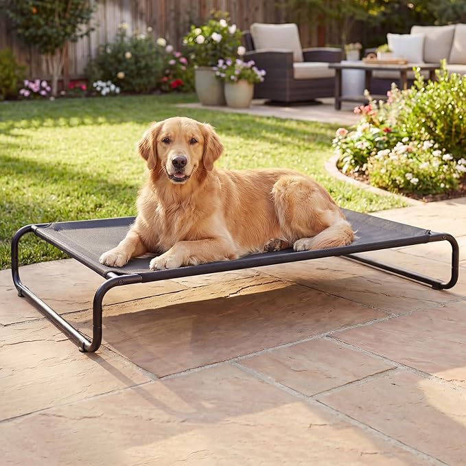 Veehoo Cooling Elevated Dog Bed, Outdoor Dog Bed for Large Dogs, Raised Dog Cot with Thickened Frame, Durable Teslin Mesh & Anti-Slip Rubber Feet, Pet Hammock for Indoor or Camping, 49" x 33", Black