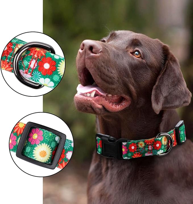 Girl Dog Collars Summer Daisy Flower Pattern, Female Adjustable Collar for Puppy, Medium, Green