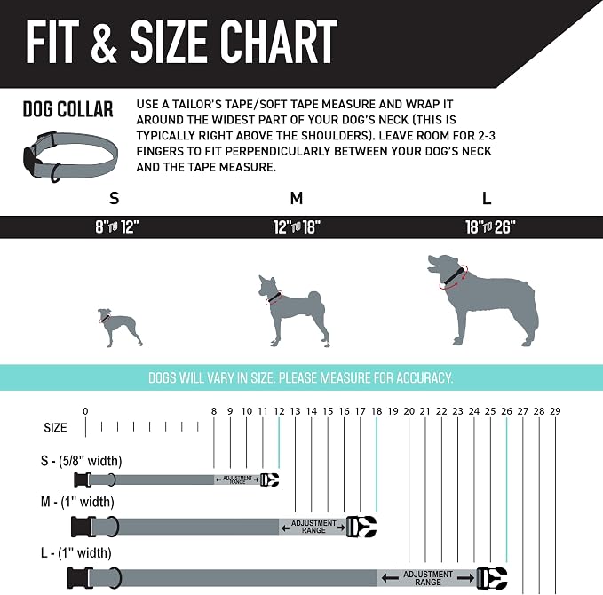 Wolfgang Heavy Duty, Adjustable Dog Collar with Quick Release Nylon Buckle for Walking & Training, Mixtape Print, Large