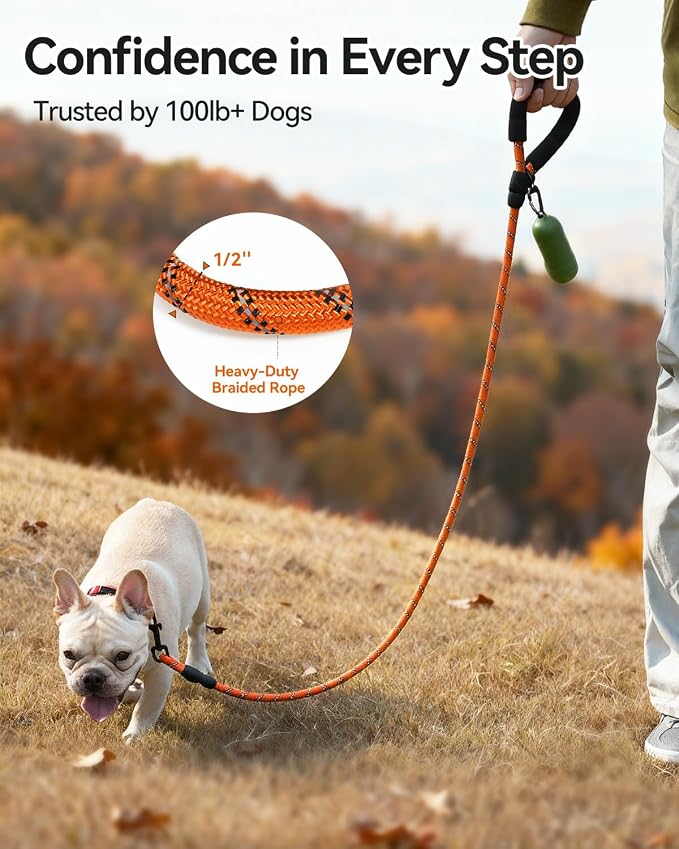 Joytale Dog Leash for Small Dogs, Heavy Duty Nylon Leashes with Comfortable Padded Handle and Highly Reflective Threads, Ideal for Walking and Training, Orange, 5'×3/8''
