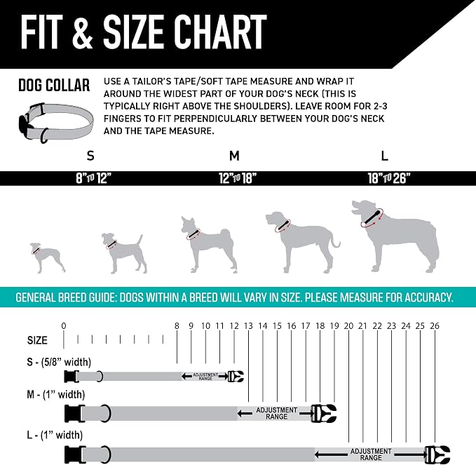 Wolfgang Heavy Duty, Adjustable Dog Collar with Quick Release Nylon Buckle for Walking & Training, CutBow Print, Small