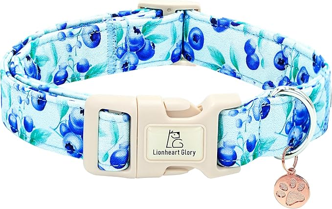Lionheart glory Dog Collar Blueberries Print Collar for Small Dogs Spring Summer Female or Male Collars Pets Gift Adjustable Heavy-Duty Cute Pet Collars
