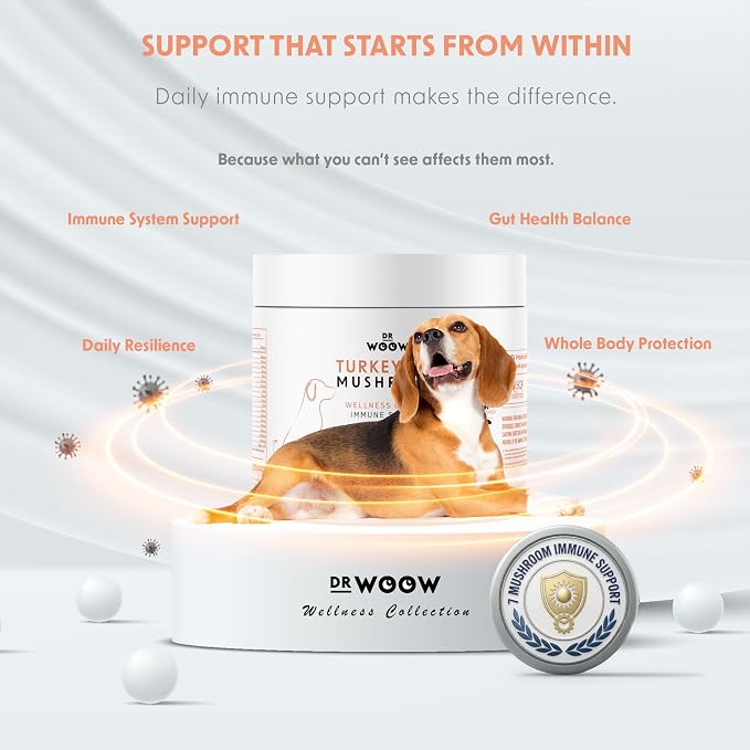 Turkey Tail Mushroom Chews for Dogs (120 Soft Chews) – Immune Support & Gut Health – 7 Mushroom Blend, Salmon Oil & Probiotics – Daily Wellness Supplement – Made in USA – Dr. Woow