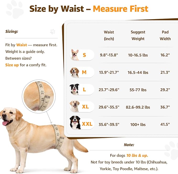 Adjustable Dog Lift Harness Dog Sling for Large Dogs Hind Leg Support Soft Lift Support for Weak Rear Legs, Helps Senior, Injured, Disabled, After ACL Surgery Dogs (Grey&Grey, X-Large)