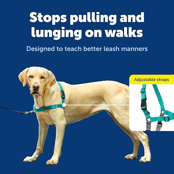 PetSafe Easy Walk No-Pull Dog Harness - Ultimate Harness to Help Stop Pulling - Pull-Free Walks - Take Control & Teach Better Leash Manners - Patented Martingale Loop Design - Teal, Large