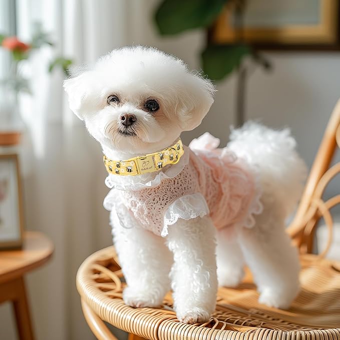 Yellow Bee Dog Collar, Cute Spring/Summer Cartoon Boy Girl Dog Collars, Adjustable Heavy Duty Male Female Dogs Collar for Small Medium Large Dogs with Metal Buckle L