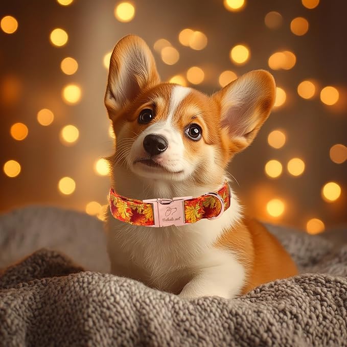 Fall Dog Collar for Large Dogs - Gold Maple Leaves Tanksgiving Puppy Collar, Adjustable Heavy Duty Fall Festivel Cotton Dog Collars with Metal Buckle L
