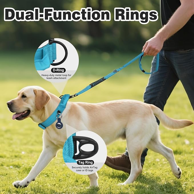 Joytale Tactical Dog Collar for Large Dogs with Control Handle, Heavy Duty Military Training Collar for Power Breeds, AirTag Holder Case, Quick Release Metal Buckle, Soft Padded, L, Sky Blue