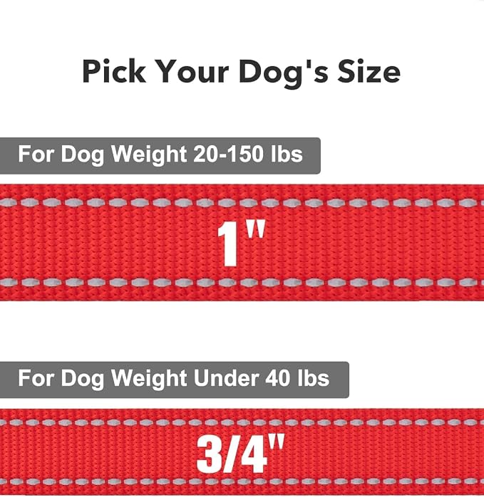 Taglory Dog Leash for Medium Large Dogs, Double-Sided Reflective for Night Walking, Neoprene Padded Handle, 1 inch by 6 ft, Heavy Duty for Medium Large Breeds 20-150 lbs, Red