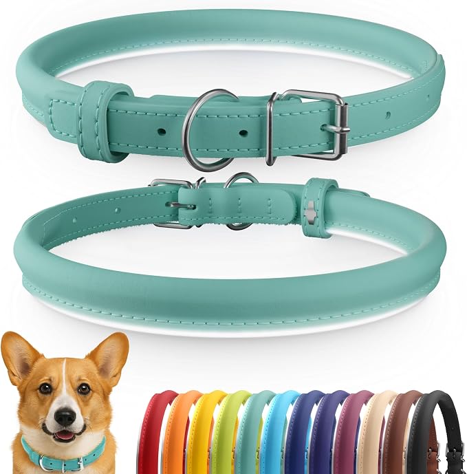 CollarDirect Reflective Rolled Leather Dog Collar, Soft Padded Round Puppy Collar, Handmade Genuine Leather Collar Dog Small Large Cat Collars 13 Colors (12-15 Inch, Mint Green Reflective)