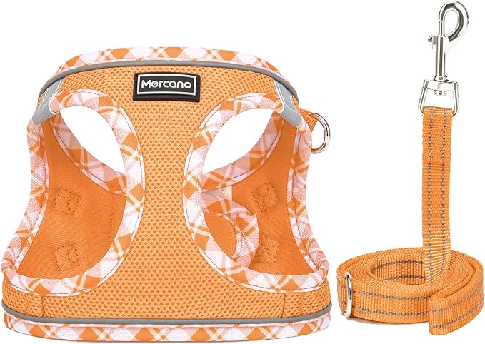 Mercano Soft Mesh Dog Harness and Leash Set, Step-in Reflective Breathable Lightweight Vest Harnesses with Safety Buckle for Small Dogs, Cats (Orange, XS)