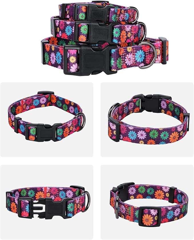 Girl Dog Collars Fall Daisy Pattern, Colorful Flowers Print, Female Collar, Dark Purple, Large