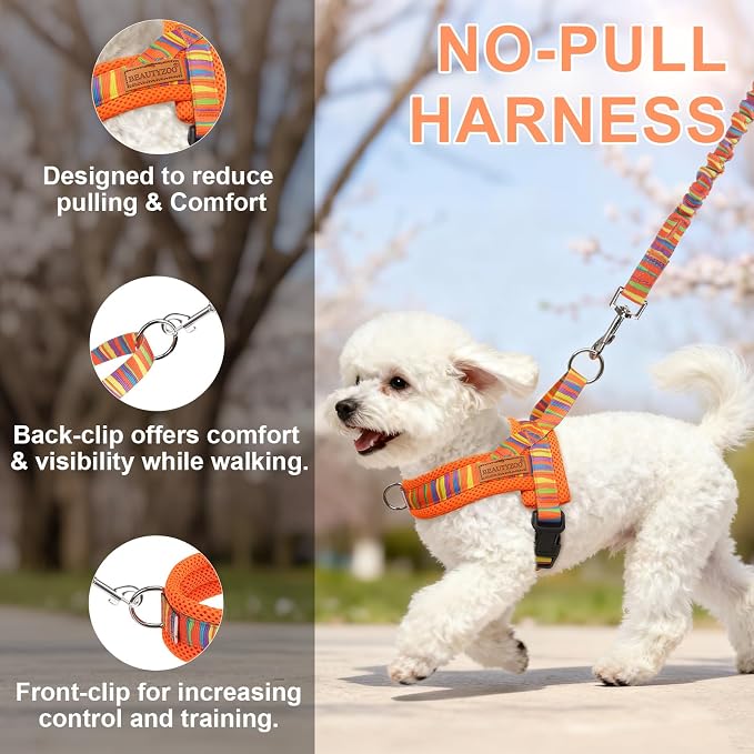 BEAUTYZOO Dog Harness for Small Dogs,No Pull Dog Harness and Leash Set,Soft Breathable Escape Proof Puppy Vest Harnessss with Handle,Lightweight Quick Fit Harness for Girl Boy Dogs Training Walking,S