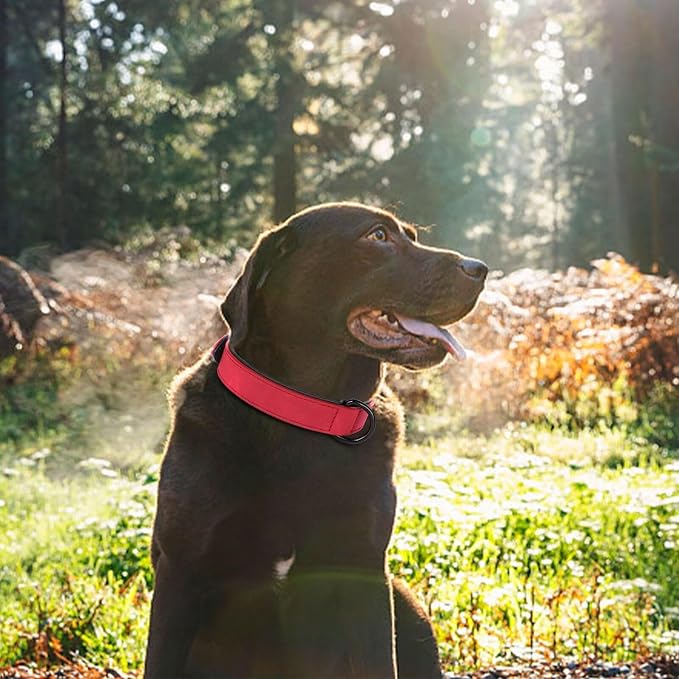 Didog Soft Padded PU Leather Dog Collar, Breathable and Adjustable Red Dog Collar for Large Dogs, Comfortable for Daily Walk,Red XL Fit Neck 18-22"(45-71 lbs)