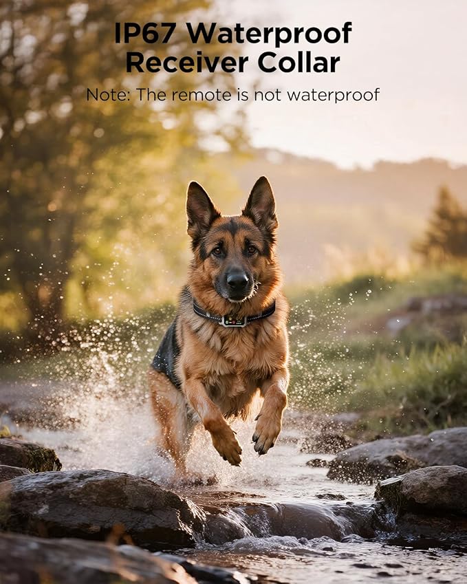 BLACKDOG Military Dog Shock Collar - 4200ft Dog Training Collar with Remote, 4 Training Modes, Flashlight & Strobe, 3-Month Battery, IP67 Waterproof Dog E Collar for All Breeds 5-150lbs (Beige)
