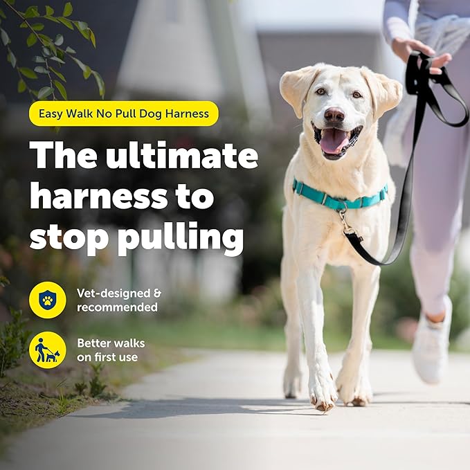 PetSafe Easy Walk No-Pull Dog Harness - Ultimate Harness to Help Stop Pulling - Pull-Free Walks - Take Control & Teach Better Leash Manners - Patented Martingale Loop Design - Teal, Large