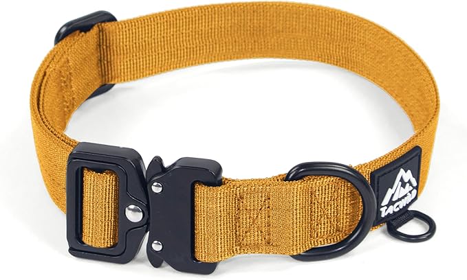 Dog Collars for Small Dogs Chritsmas Boy Girl - Adjustable, Chew Proof Nylon Collar with Metal Quick Release Buckle and D-Ring for Dog Tags (Turmeric Yellow, S)