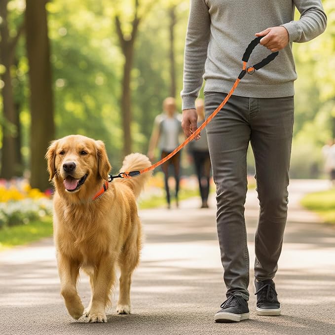 Heavy Duty Dog Leash - 4.9 FT for Large and Small Dogs - Strong Nylon, Comfortable Handle, Reflective Stitching - Ideal for Walking, Training, and Outdoor Activities, Orange