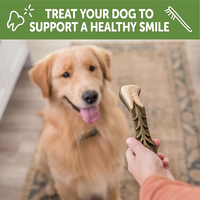 Wellness WHIMZEES Value Pack Natural Dog Dental Treat, Chews, Freshens Breath, Extra-Large Size, 64 oz Box, 15 Count