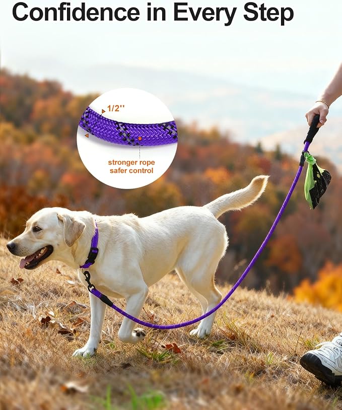 Joytale Dog Leash for Large Dogs, Heavy Duty Nylon Leashes with Comfortable Padded Handle and Highly Reflective Threads, Ideal for Walking and Training, Purple, 5'×1/2''