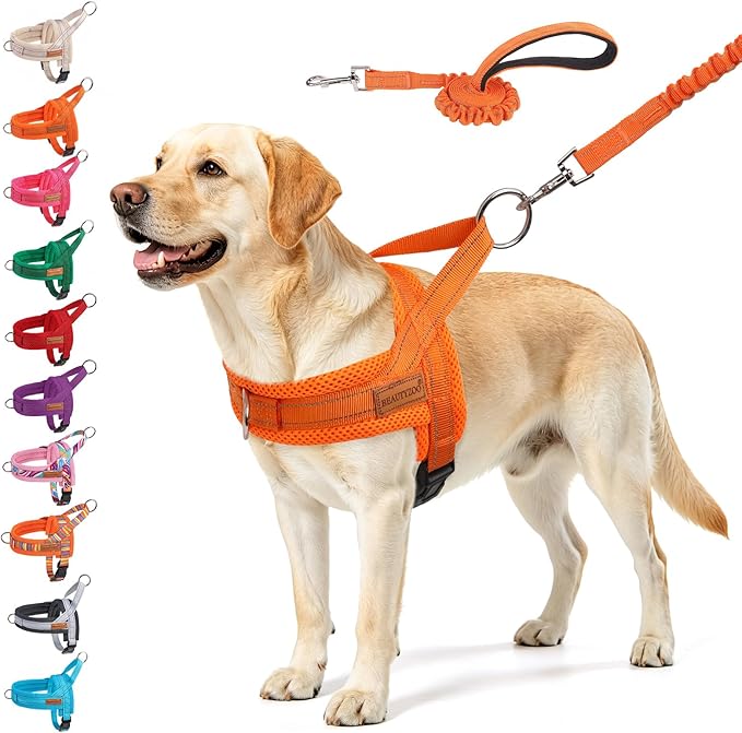 BEAUTYZOO Dog Harness for Small Dogs, No Pull Dog Harness and Leash Set, Soft Escape Proof Puppy Vest Harness with Handle, Reflective Lightweight Step in Harness for Girl Boy Dogs, Orange L