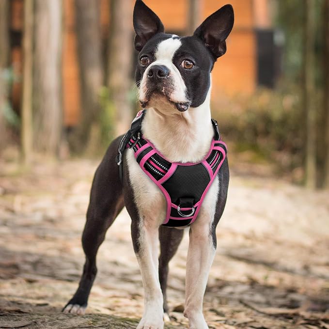 rabbitgoo Dog Harness Small Sized, 3 Buckles Easy On & Off No Pull Pet Vest, Soft Padded Walking Pet Harness with Control Handle, Adjustable and Reflective, Black & Rose Pink, S