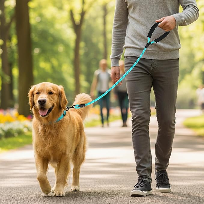 Heavy Duty Dog Leash - 4.9 FT for Large and Small Dogs - Strong Nylon, Comfortable Handle, Reflective Stitching - Ideal for Walking, Training, and Outdoor Activities, Turquoise