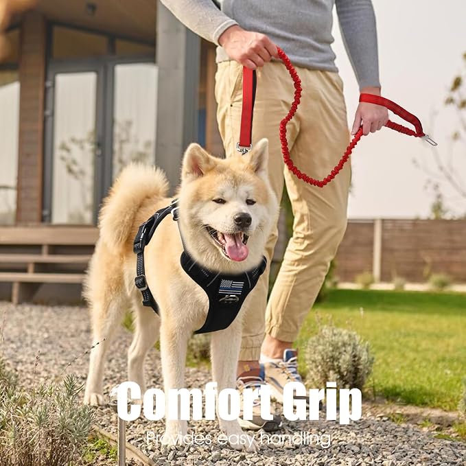 BUMBIN 6Ft Dog Leash Large Dogs, Bungee Dog Leash with 2 Handles, Heavy Duty Dog Leashes for Medium Small Dogs, No Pull Shock Absorbing Dog Leash with Car Seat Belt for Training, Red