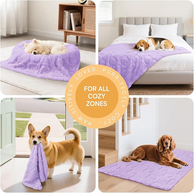 Luciphia Small Dog Blanket Washable Pet Bed Cover Soft Fluffy Puppy Blanket with Premium Fleece 300GSM Cozy Calming Cat Blankets for Indoor Cats Light Purple 57x40 inch